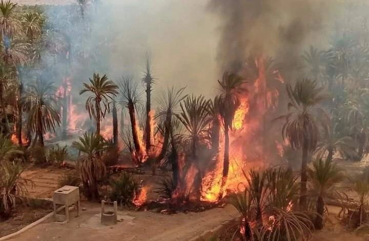 ورد الآن وعــــاجل.. بعد الجزائر وتونس.. الحرائق تصل المغرب ووزاة الداخلية تستنفر