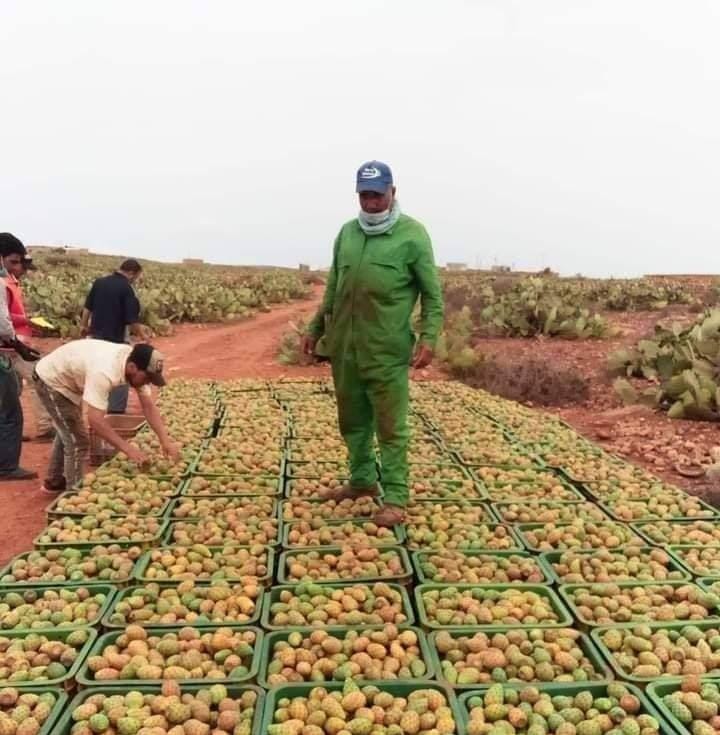 بيان استنكاري رقم (1)